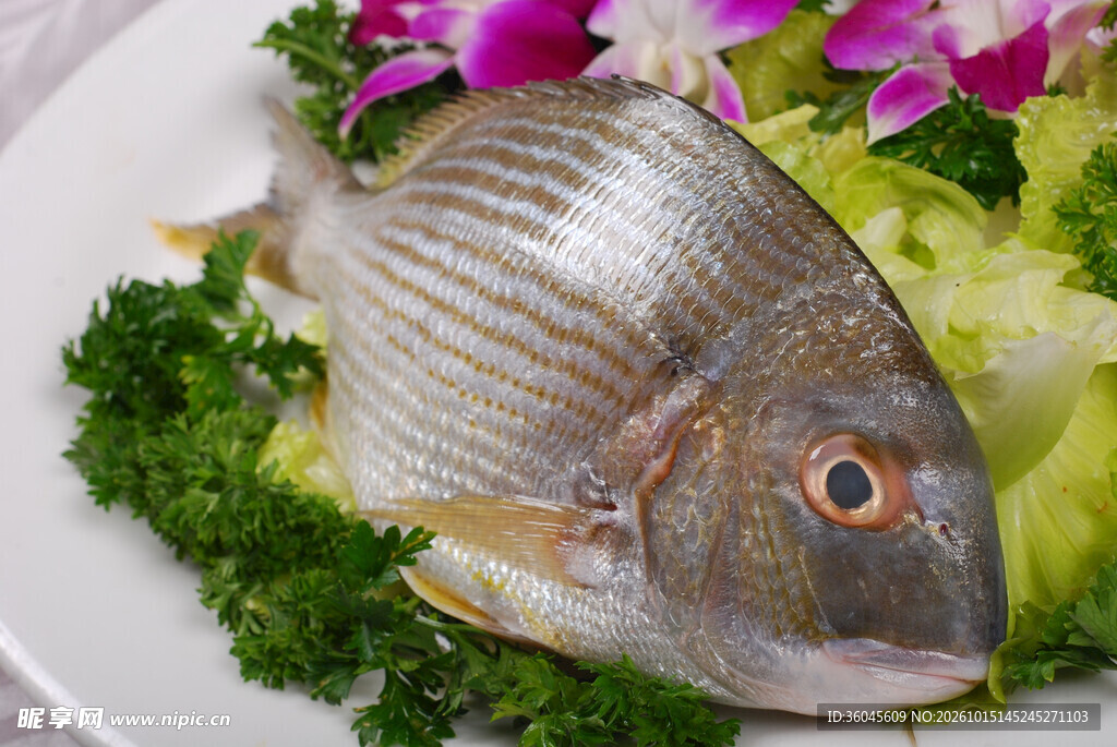 新鲜海鱼食材摆盘