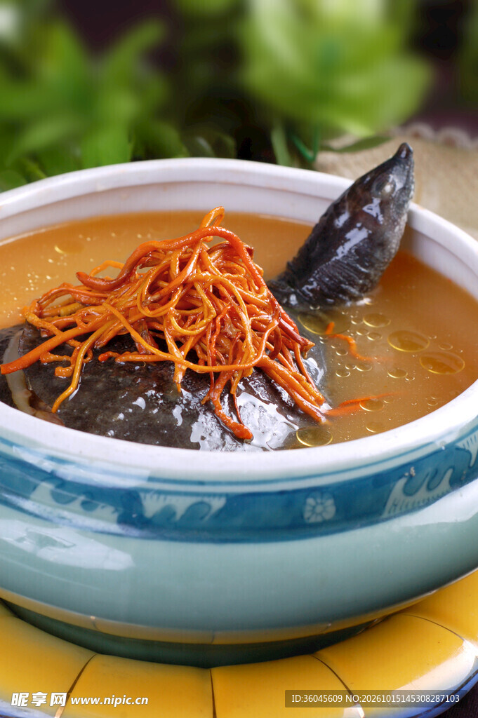 虫草花炖甲鱼汤