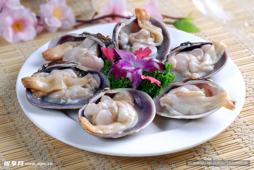生鲜贝类海鲜食材
