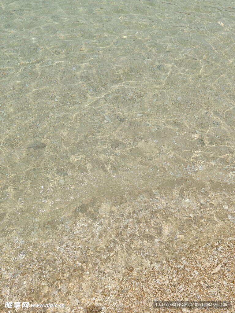 果冻海