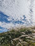 山野晴空自然风光