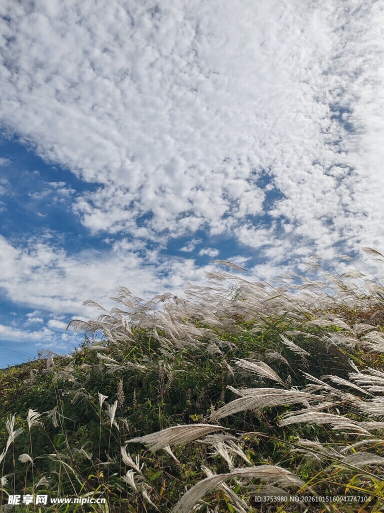 山野晴空自然风光