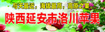 洛川苹果宣传海报