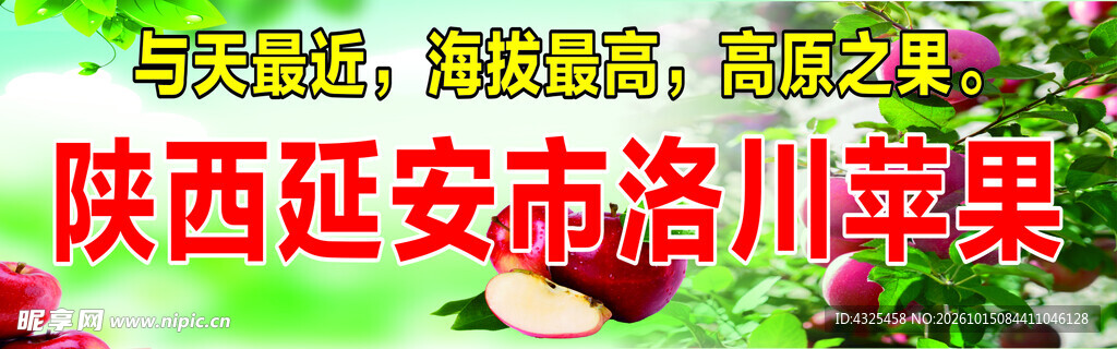 洛川苹果宣传海报