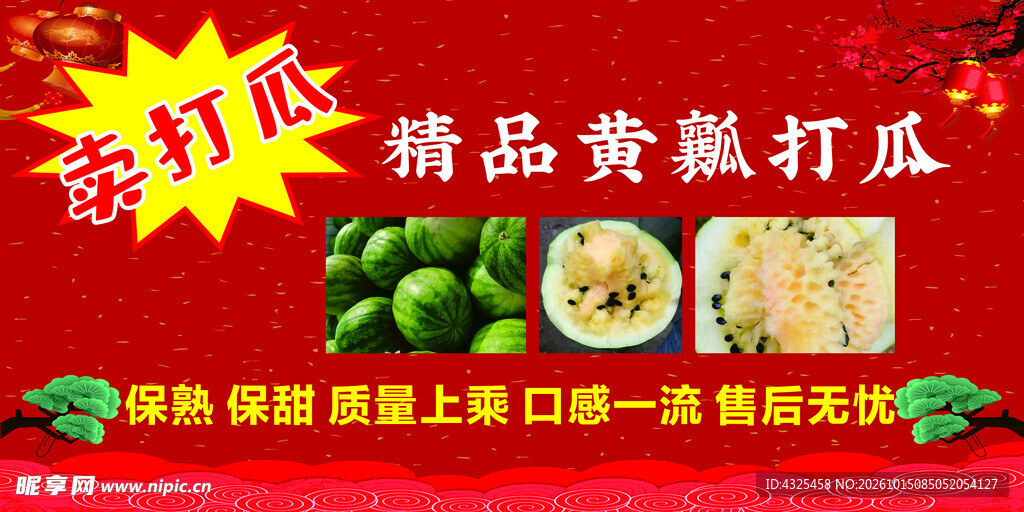 精品黄瓤打瓜宣传海报