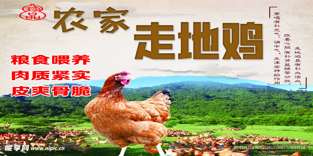 农家走地鸡宣传海报