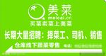 美菜招聘宣传海报