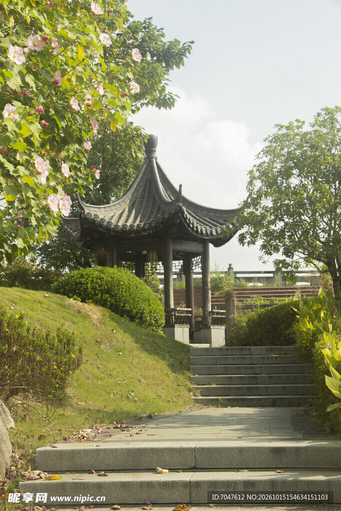 中式园林古亭小景