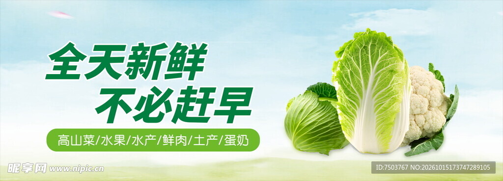 新鲜蔬菜宣传海报