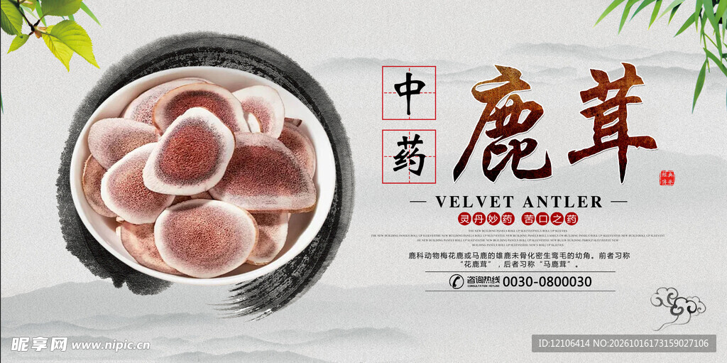 中药鹿茸养生海报