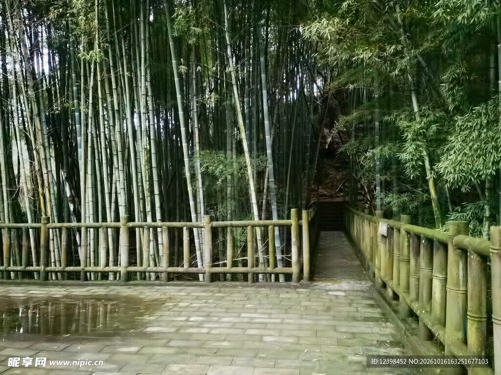 竹林木质步道
