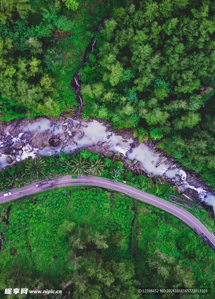 航拍林间蜿蜒小路