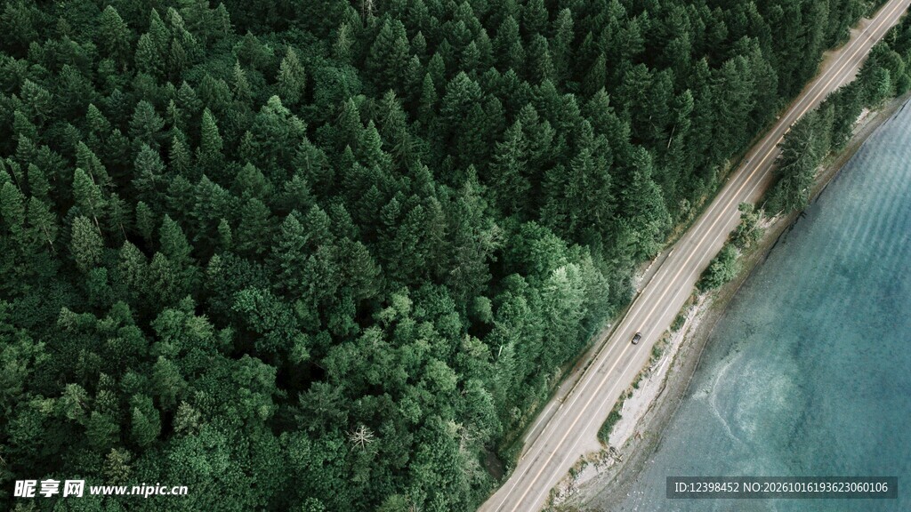 沿岸林间公路航拍