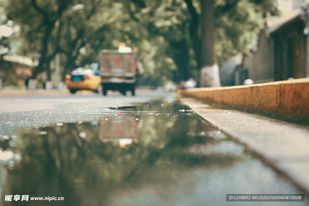 雨后积水林荫街道