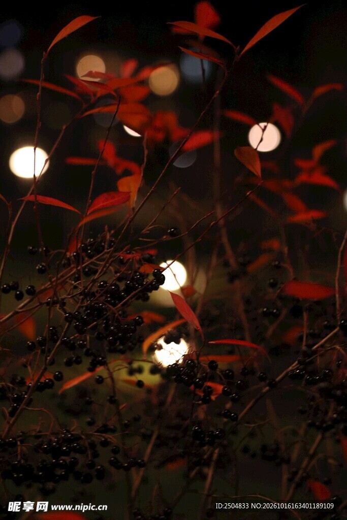 古街夜景红灯笼