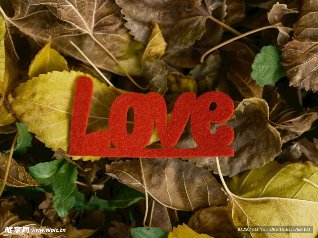 秋叶间的红色Love文字