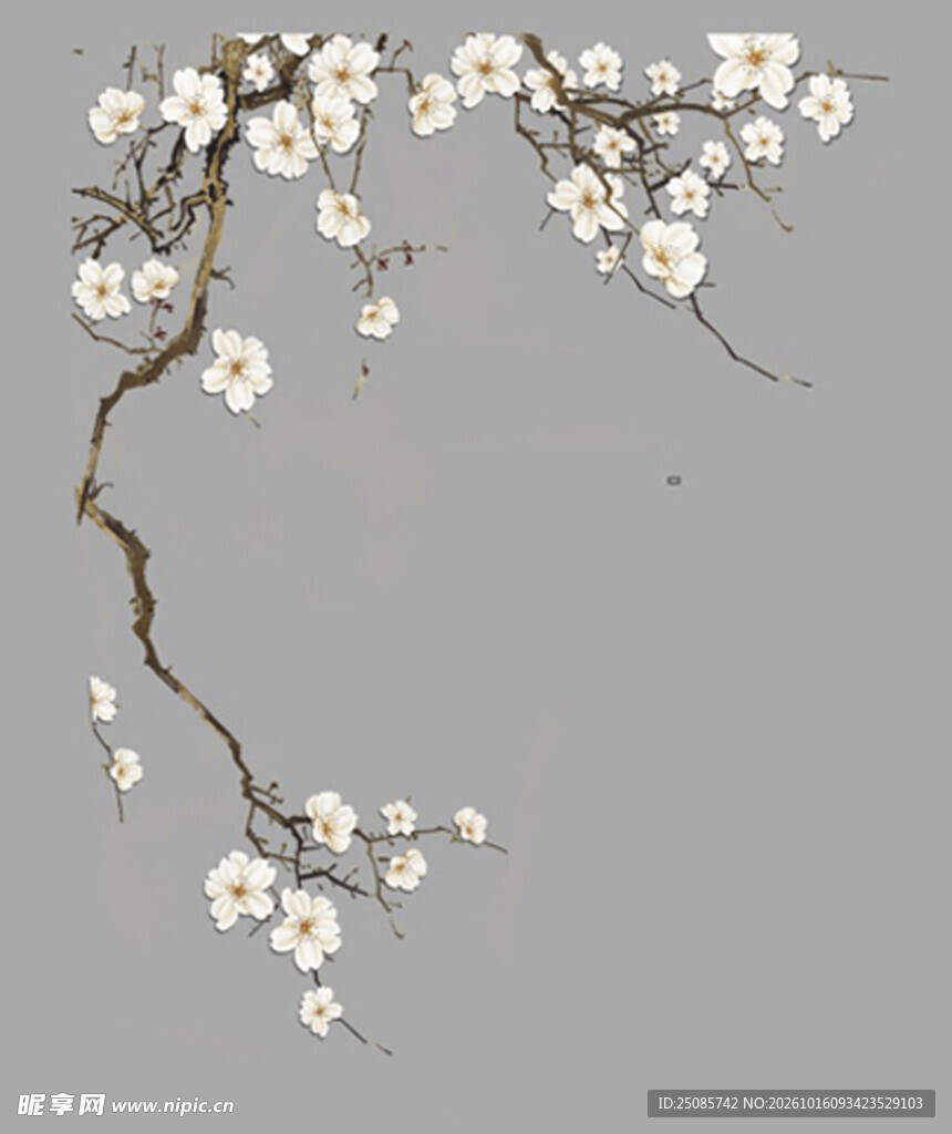梅花 花枝
