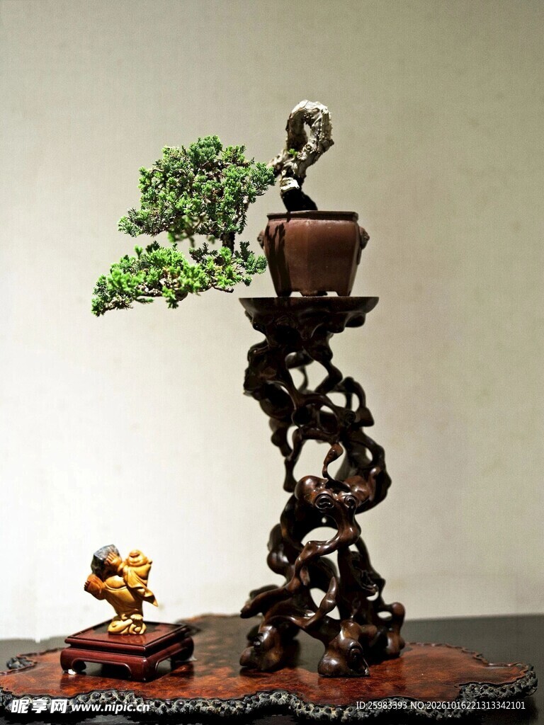 盆景