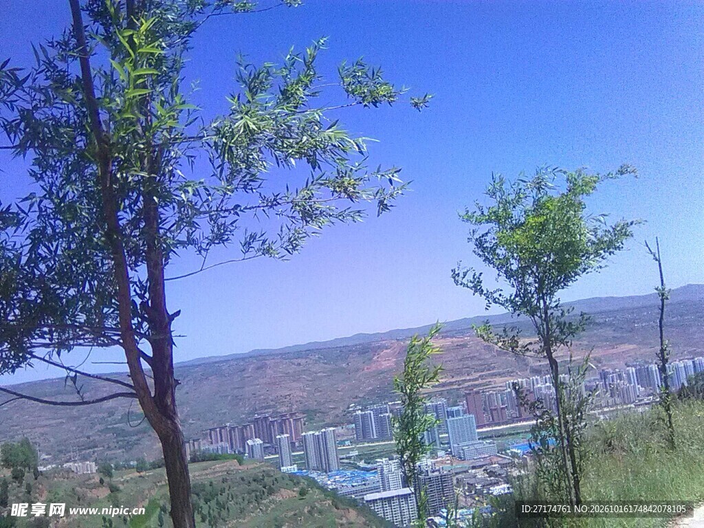 郊野远眺城市风光