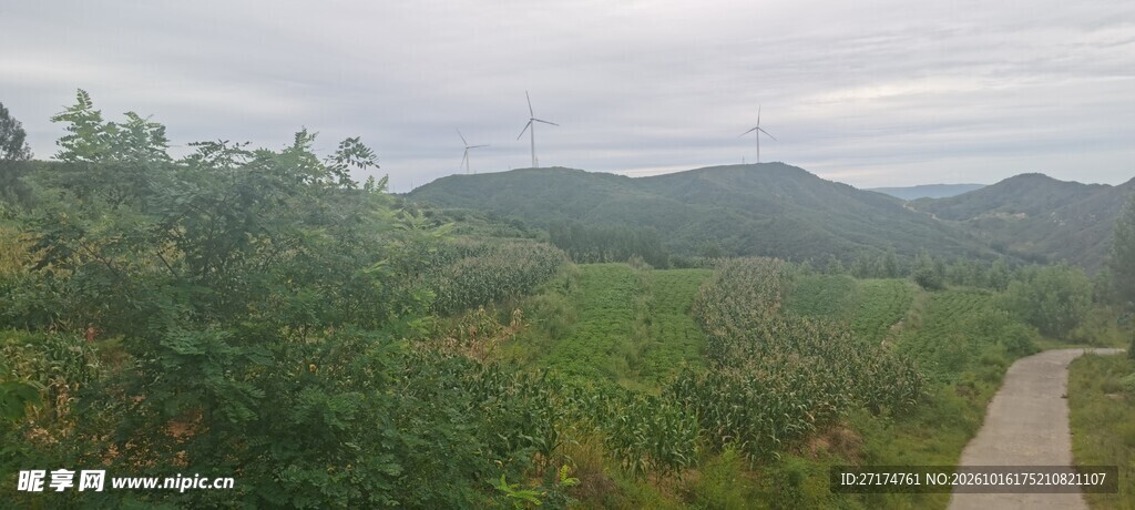郊野阴天山林远景