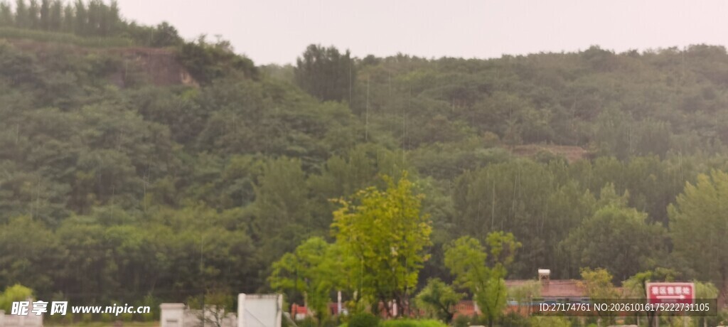 朦胧郊野山林风光