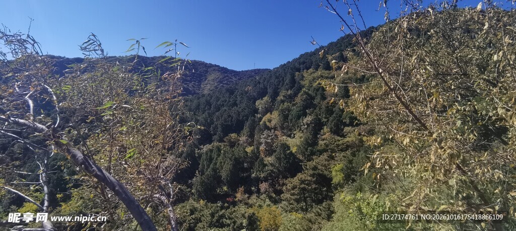 山地河谷晴日风光