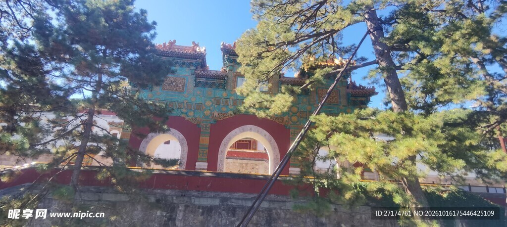 绿树掩映的窑洞民居