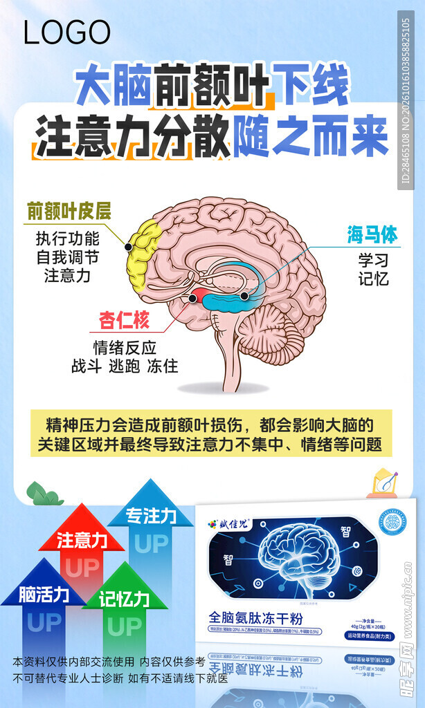 大脑前额叶健康科普