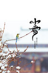 小雪节气中式意境图