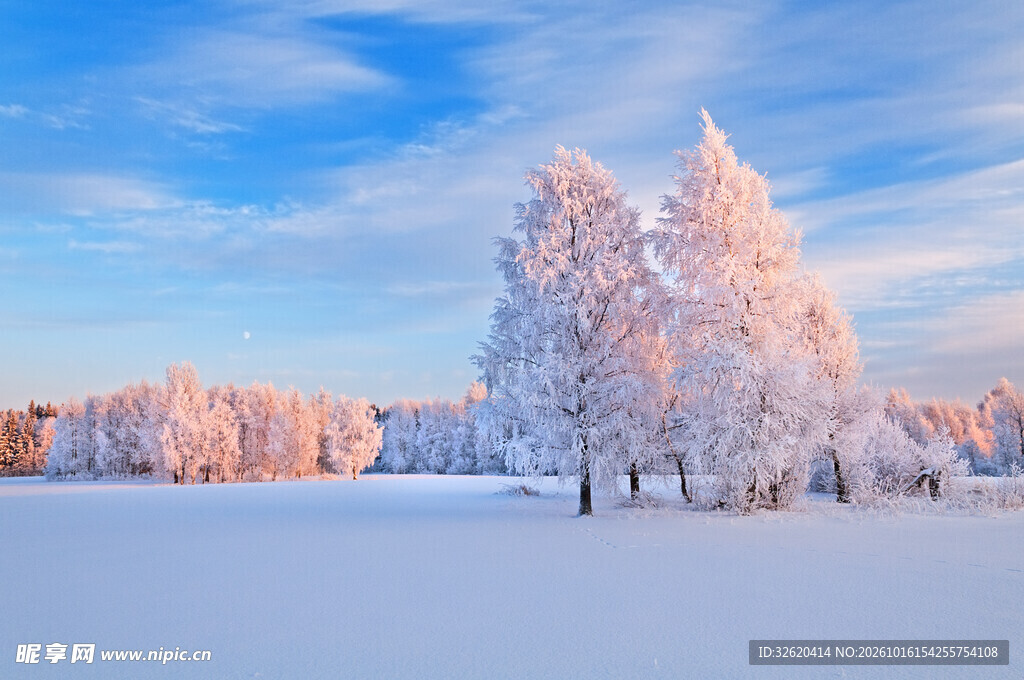冬日雪原雾凇美景