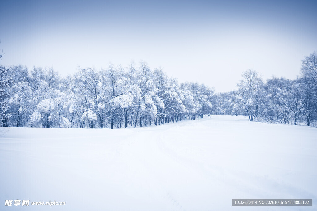 冬日雪后旷野雪景