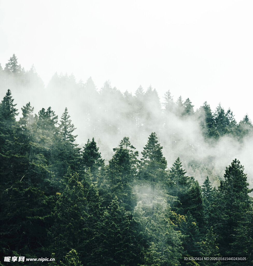 雾绕山林自然风景