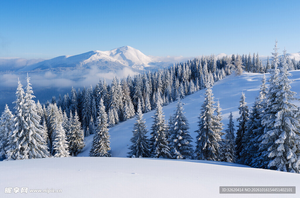 冬日雪山林海雪景