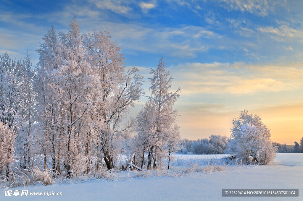 冬日雪原雾凇黄昏美景