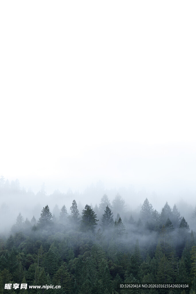 雾绕山林留白风景
