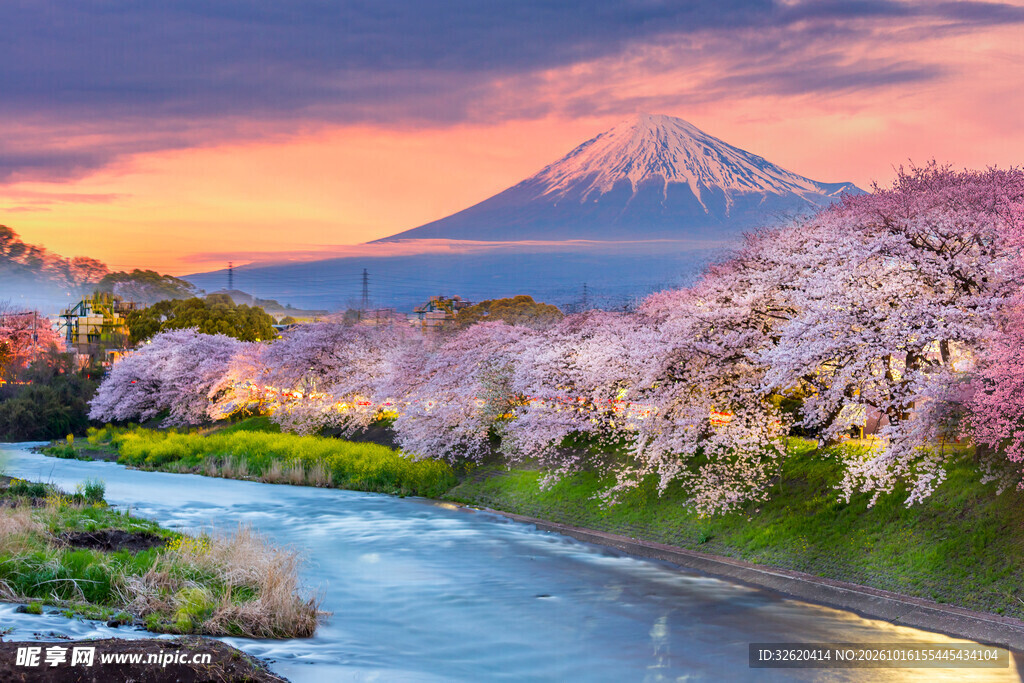 富士山下春樱河畔黄昏美景
