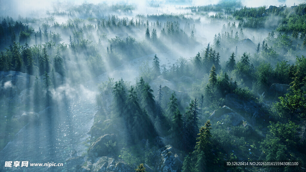 云雾缭绕山林美景