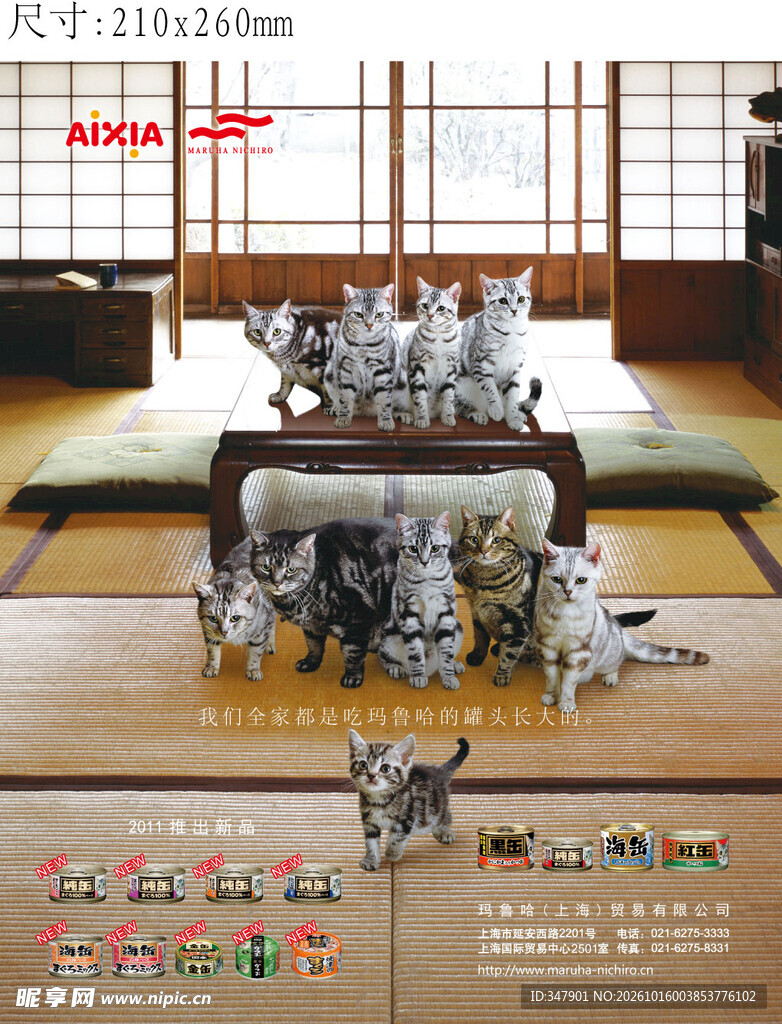 和室中的多只猫咪