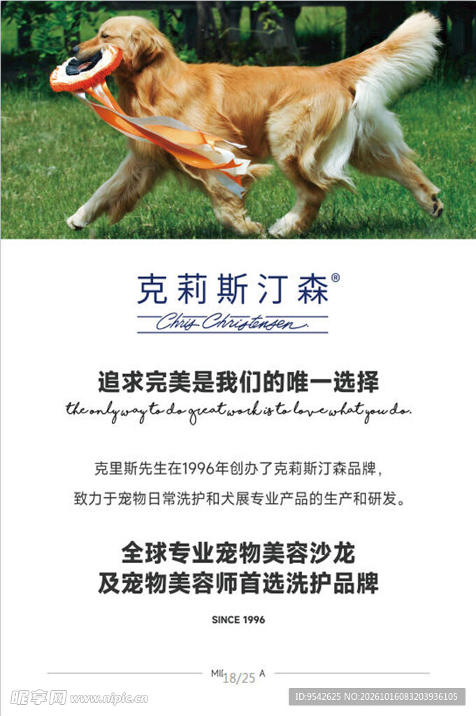 宠物美容品牌宣传海报