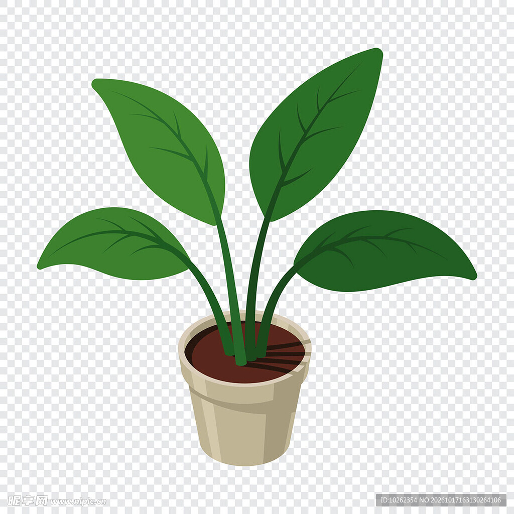 手绘清新绿植盆栽