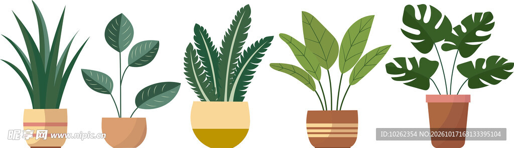 手绘居家盆栽绿植合集