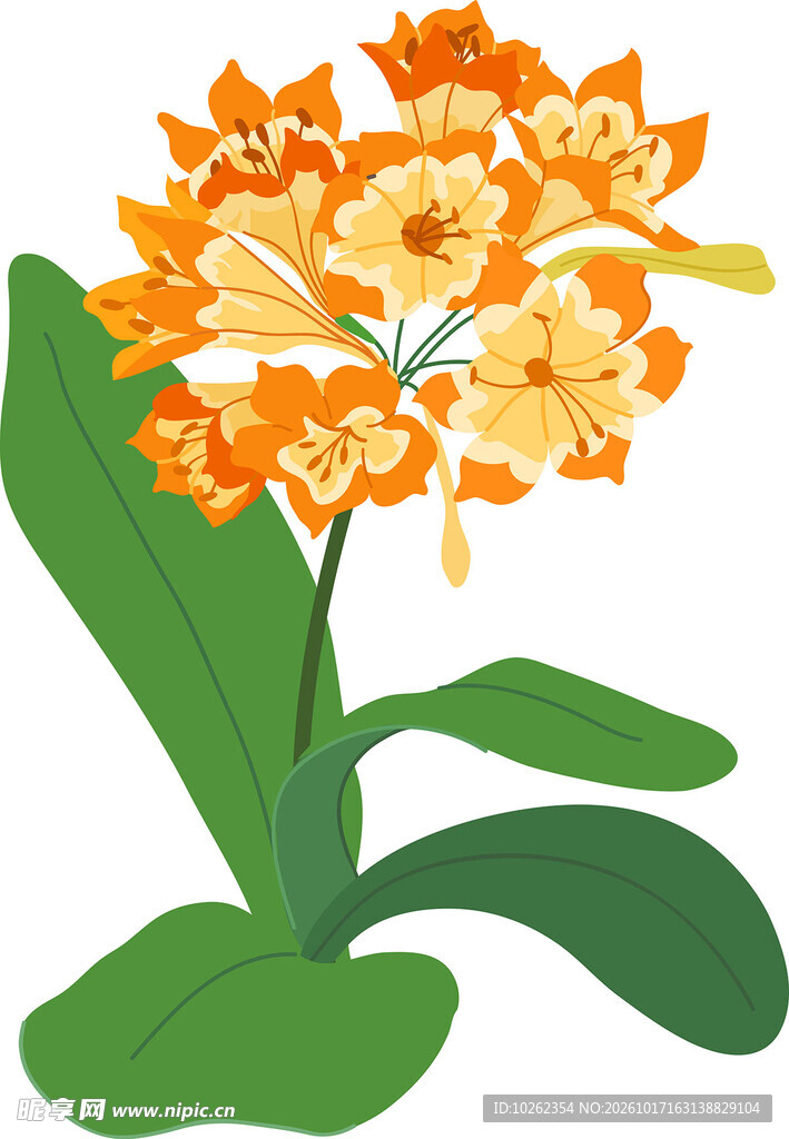 橙色花簇手绘插画