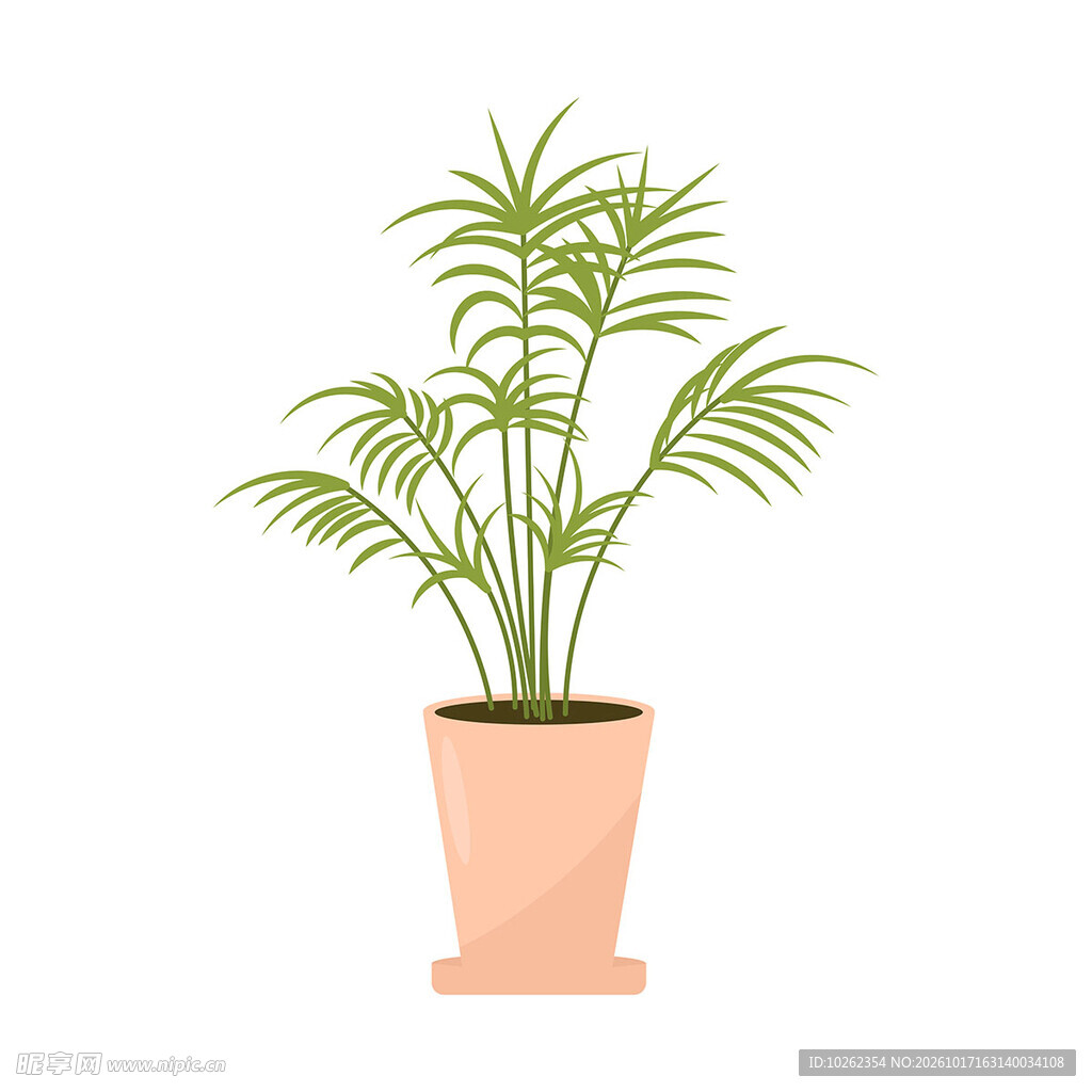 清新室内盆栽绿植插画