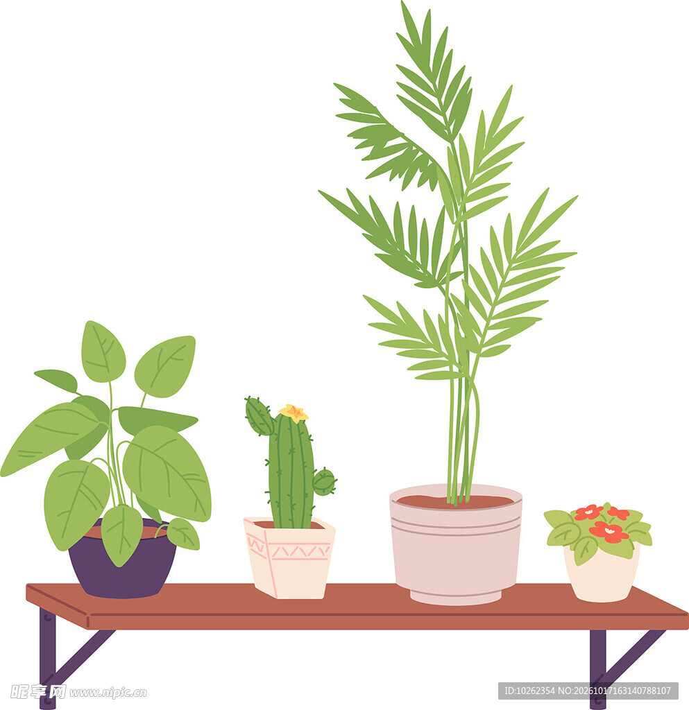 多款室内盆栽绿植插画