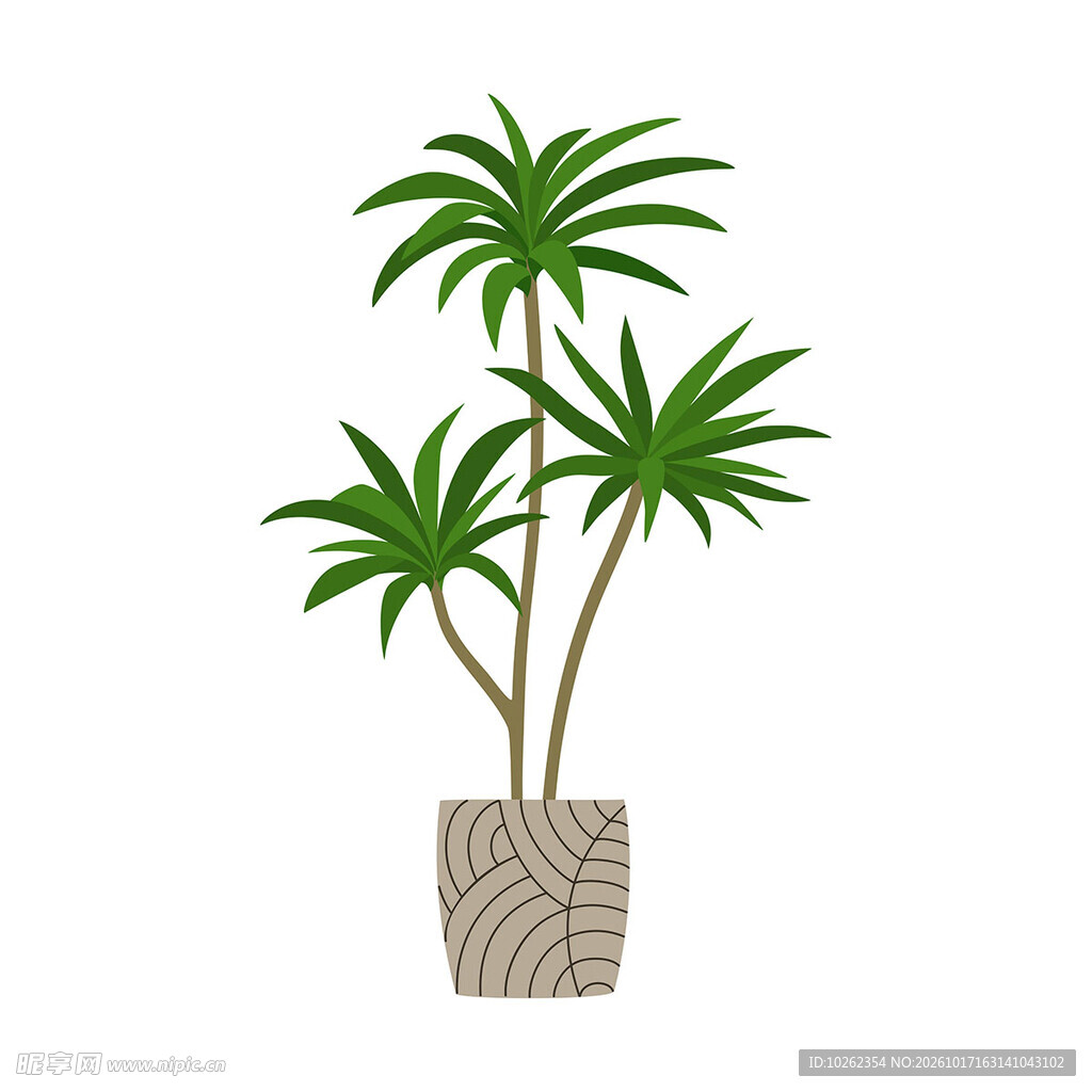 室内绿植盆栽插画