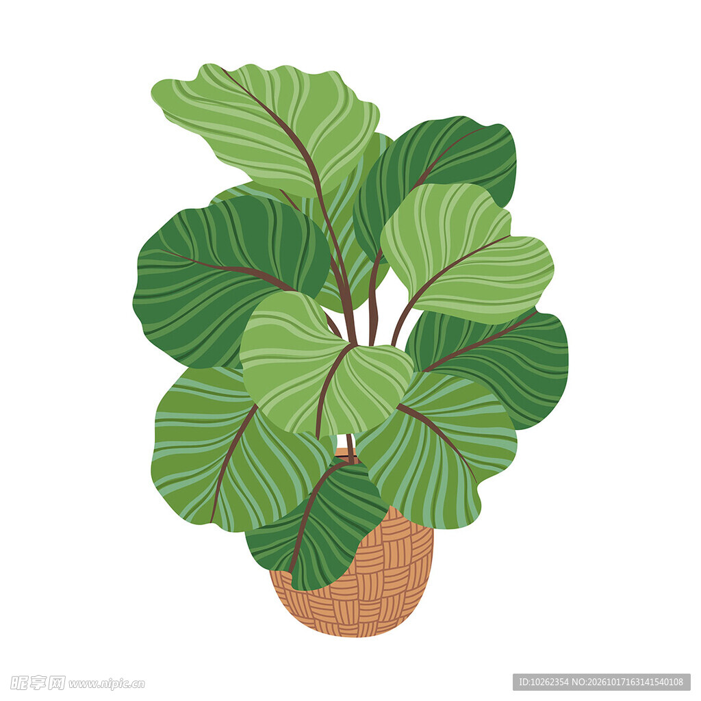 手绘绿植盆栽插画