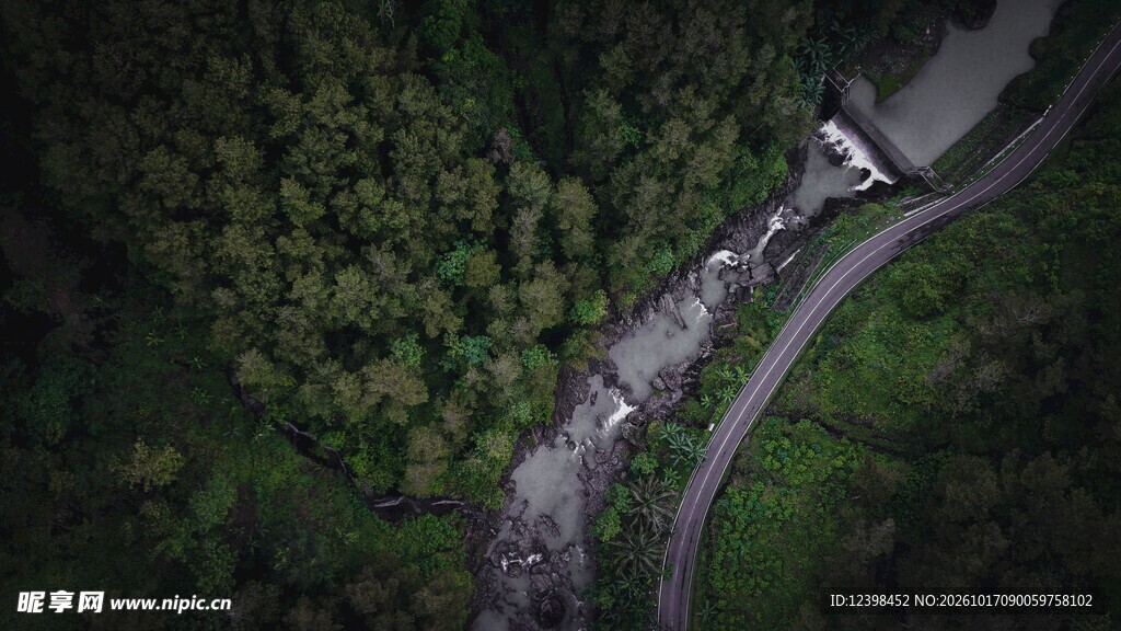 林间蜿蜒盘山公路
