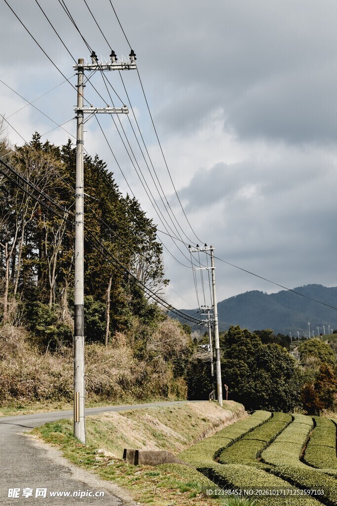 郊野路边电线杆风光
