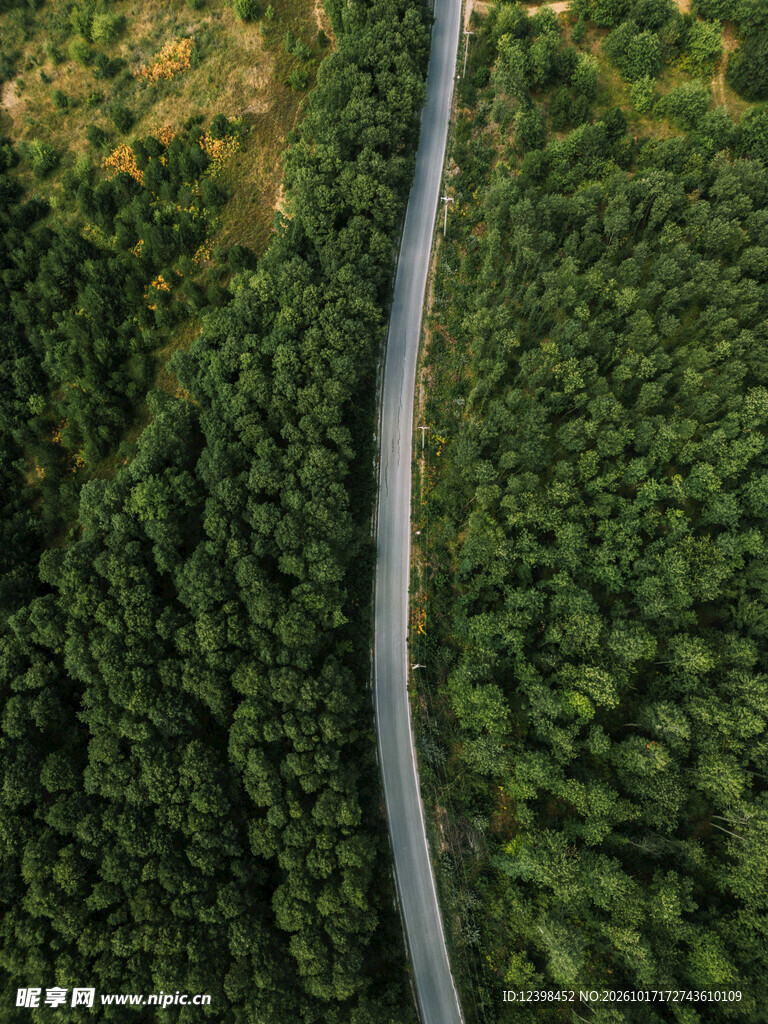 航拍林间笔直公路