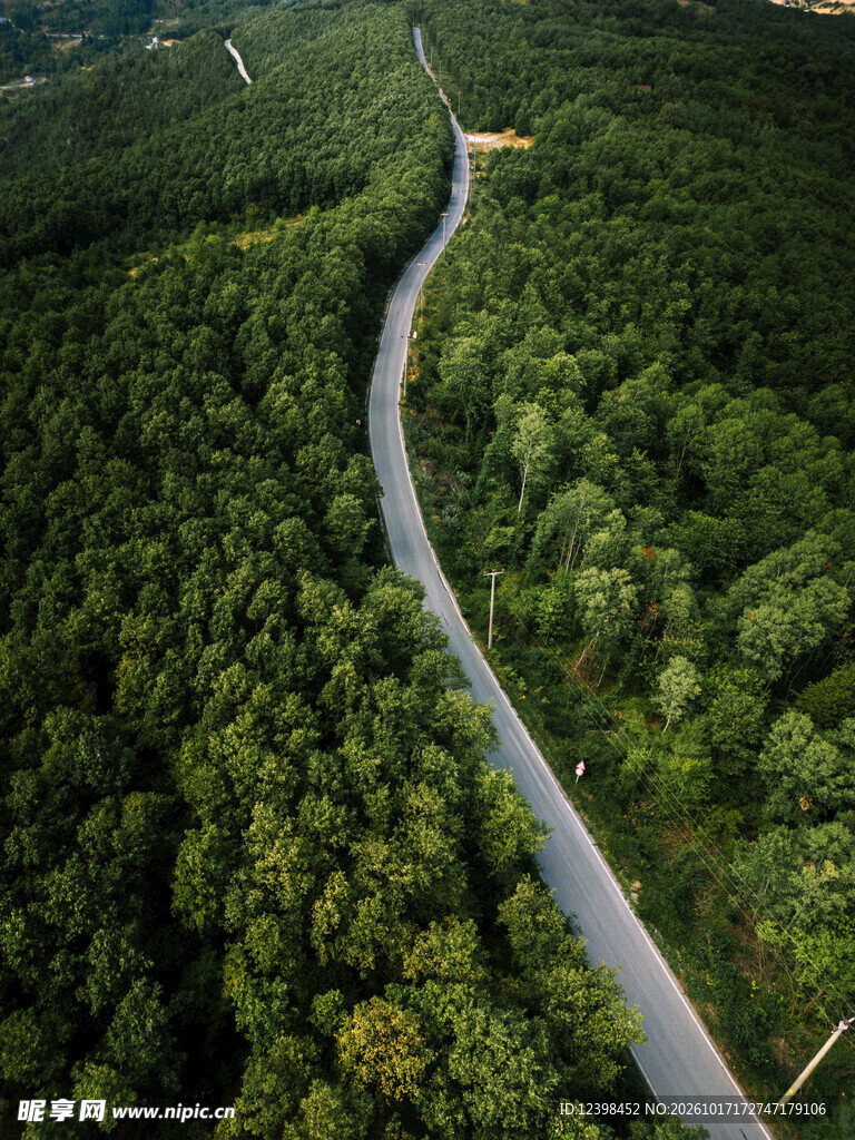 航拍林间蜿蜒公路